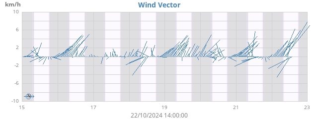 Wind Vector